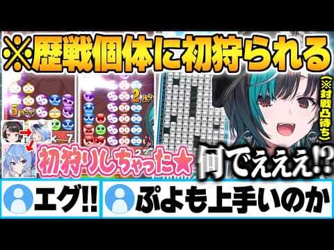 トンパ大学首席スバルと学長ぺこらに初狩られたのち初狩りを企み探すも歴戦個体すいちゃんに初狩られる散々な輪堂千速w【ホロライブ 兎田ぺこら 大空スバル 星街すいせい ぷよテト 切り抜き Vtuber】