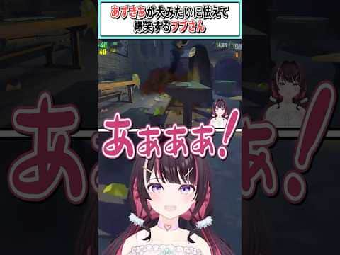 あずきちが犬みたいに怯えて爆笑するフブさん【白上フブキ/AZKi/ホロライブ切り抜き】 #shorts #vtuber #ホロライブ切り抜き