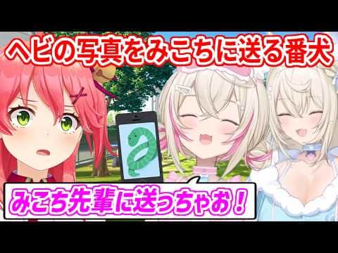 ヘビが苦手なみこち先輩に偶然見かけたヘビの写真を送るモコちゃん【ホロライブ切り抜き/フワモコ/さくらみこ】
