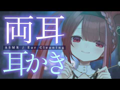 【ASMR/3Dio】両耳同時にゴリッゴリ耳かき。至極の耳掃除。至極の耳掃除。睡眠┆囁き┆Earcleaning┆Whispering┆Vtuber【星めぐり学園/切熊ゆに】