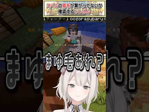 スバルの眉毛が繋がってないか確認するししろん【 獅白ぼたん/大空スバル/ホロライブ切り抜き】 #shorts #vtuber #ホロライブ切り抜き
