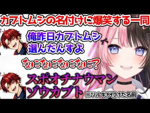 ツルギが付けたカブトムシの名前に爆笑する一同【ぶいすぽっ!切り抜き】