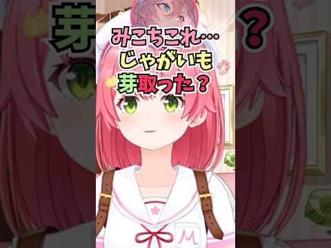 星街家でカレーを作っていたらルイ姉にじゃがいもの芽が残っていると言われるみこち #shorts #ホロライブ #切り抜き #vtuber #さくらみこ #鷹嶺ルイ #星街すいせい #ホロ切り抜き