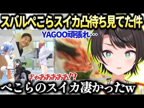 スバルぺこらのスイカとYAGOOに伝えたい事【大空スバル/兎田ぺこら/ホロライブ切り抜き】