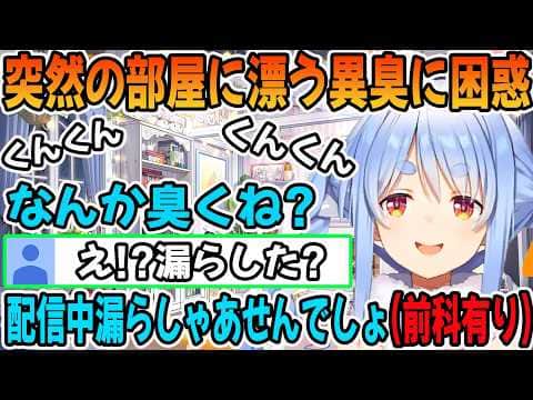 部屋に漂う異臭に困惑する兎田ぺこら「ホロライブ切り抜き」