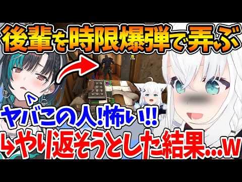 後輩を時限爆弾で攻撃して愉悦するフブちゃん、復讐しようと千速がやり返そうとした結果...w【ホロライブ/切り抜き/VTuber/ 白上フブキ / 輪堂千速 / #ホロ7大豆劇場 】