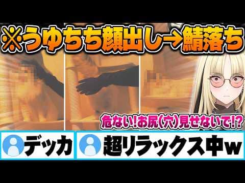 完成したキャットタワーに興味深々のうゆちちが可愛すぎる件【虎金妃笑虎 ホロライブ 切り抜き Vtuber】