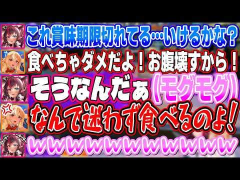 配信でとんでもないド下ネタを言ってしまういつも通りちょっとえっちなアイリスと叡智なふーたん【不知火フレア/IRyS/ホロライブ】