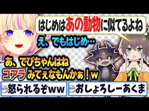 ばんちょー、まつりに言われた似てる動物の話からでび様をコアラ呼びする流れがこちらｗｗ【 #轟はじめ #ホロライブ #ホロライブ切り抜き 】 #夏色まつり #でびでびでびる
