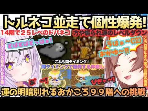 【クリストファーノーランの映画やんけ】おかゆがパルプンテでぐっちゃぐちゃ!?煽りに弱い天才ころねがおかゆの豪運に動揺しまくる個性強おかころのてぇてぇトルネコ並走2支店まとめ【戌神ころね/猫又おかゆ】