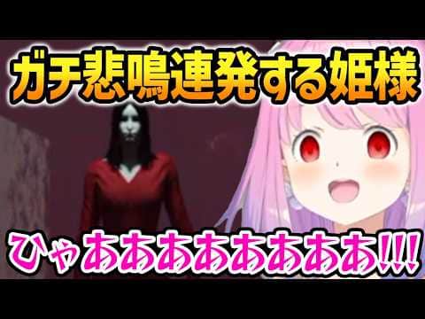 【夜勤清掃】ガチ悲鳴を連発するルーナ【姫森ルーナ ホロライブ 切り抜き】
