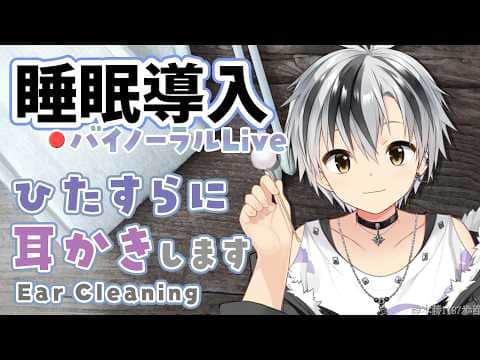 🛑【Binaural/黒3Dio】本気で眠りたい人のためのじっくり奥まで耳かき 2026.7.1【にじさんじ/鈴木勝】