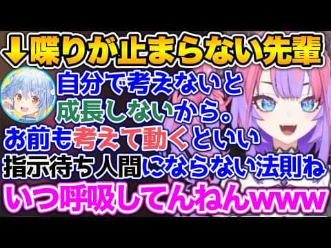とんでもない勢いで喋ってくる先輩に爆笑するヴィヴィ【ホロライブ切り抜き/白上フブキ/兎田ぺこら/不知火フレア/常闇トワ/綺々羅々ヴィヴィ】