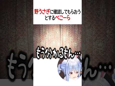 野うさぎに確認してもらおうとするぺこーら【ホロライブ切り抜き/Hololive】#shorts