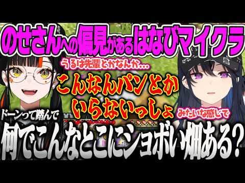 【ぶいすぽ夏祭りマイクラ】八雲建設の資材集めで全ロスし、あかりんに心配されたり、のせさんへの偏見がすごいはなびw【蝶屋はなび、一ノ瀬うるは、夢野あかり、ぶいすぽっ!】