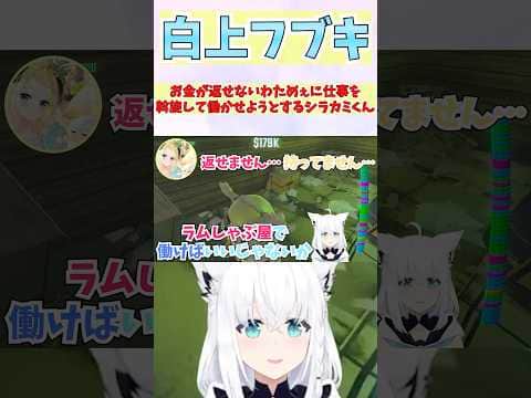 お金が返せないわためぇに仕事を斡旋して働かせようとするシラカミくん #shorts  #ホロライブ #切り抜き #vtuber #白上フブキ #角巻わため #ホロ切り抜き