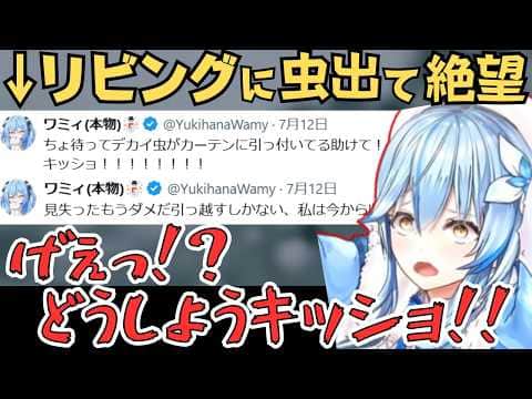 リビングに虫が出たときの話をするラミィちゃん【雪花ラミィ 切り抜き/ホロライブ】