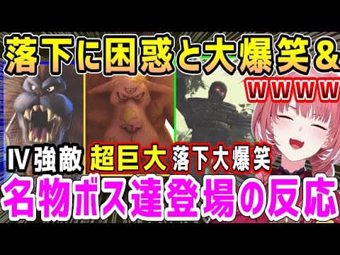 ボスの倒し方に困惑と大爆笑&キングレオ戦でおもろい事する仲間達にツッコみ&超巨大ブオーン登場【ホロライブ 切り抜き】【鷹嶺ルイ】【ドラクエヒーローズ】