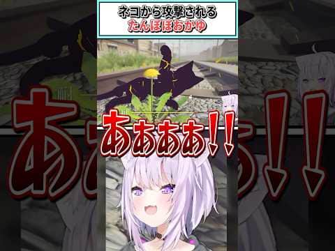 ネコから攻撃されるたんぽぽおかゆ【猫又おかゆ/ホロライブ切り抜き】 #shorts #vtuber #ホロライブ切り抜き