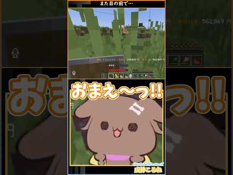 また目の前で #ホロ金策サバイバル2