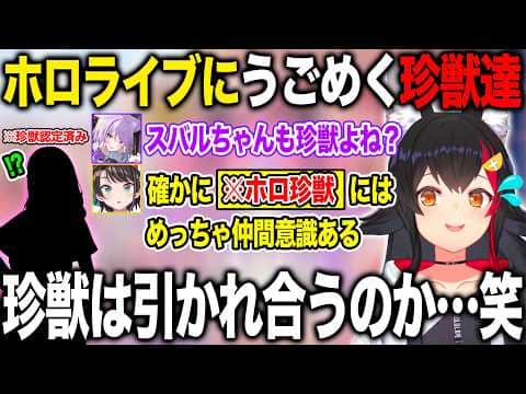 珍獣ハンターとして今のホロライブの珍獣の生態と新人の新たな珍獣に期待する大神ミオ【ホロライブ/ホロライブ切り抜き】