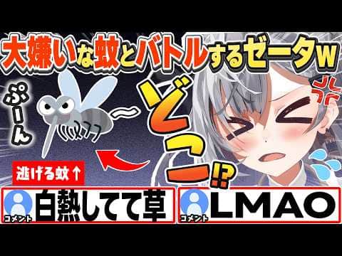 [JP/ENG SUB] ゼータvs蚊!配信中に現れた蚊と壮絶な戦いを繰り広げるゼータちゃんw / Zeta vs. The Mosquito【ベスティア・ゼータ/ホロライブ/切り抜き】