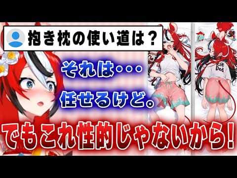 エ●い抱き枕は販売したくなかったと語るハコ太郎【ホロライブ/ハコ太郎/ベールズ】