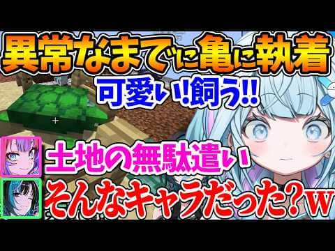 異常なまでにカメに執着するすうちゃん、千速とヴィヴィからカメの存在意義を問われてしまうw【ホロライブ/切り抜き/VTuber/ 水宮枢 / 輪堂千速 / 綺々羅々ヴィヴィ / マイクラ 】