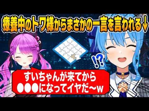 大空スバルと鷹嶺ルイの誕生日プレゼントを買った話+常闇トワにまさかの一言を言われてしまうすいちゃん【ホロライブ 切り抜き】