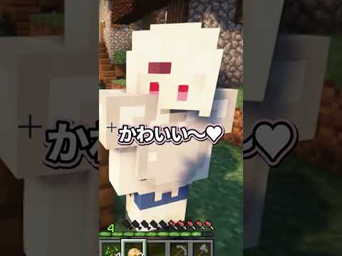 【にじホロ】可愛い動物を見た時の違い【風真いろは/兎田ぺこら/椎名唯華/笹木咲/葛葉/ホロライブ/にじさんじ/切り抜き】