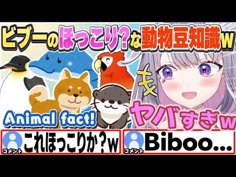 [JP/ENG SUB] ほっこり?できる動物豆知識を連発するビブーw / Biboo sharing fun animal facts【古石ビジュー/ホロライブ/切り抜き】