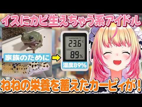イスにガッツリカビが生えた話+PC買い換えたいが値段に絶望するねねち【ホロライブ/桃鈴ねね/切り抜き】