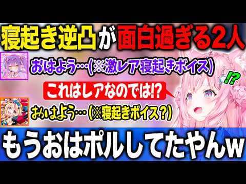 朝こよ300回記念に激レア寝起きボイスで現れるトワ様と寝起きボイスになりたいポルカにツッコミが止まらない博衣こより【ホロライブ/ホロライブ切り抜き】