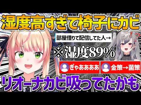 爬虫類飼育の為湿度がとんでもない事になり椅子にカビが生え部屋を借りに来ていたリオナが心配になるねねちｗ【ホロライブ/桃鈴ねね/Vtuber/切り抜き】