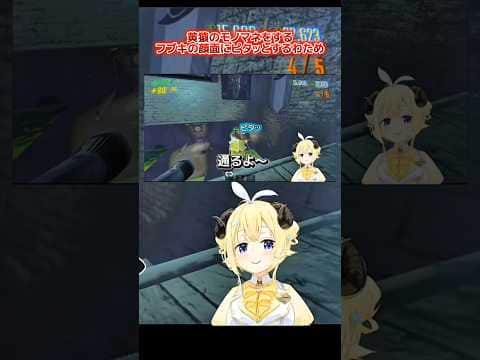 白上黄猿の顔面にピタッとするわため#角巻わため #vtuber #hololive #白上フブキ#shorts