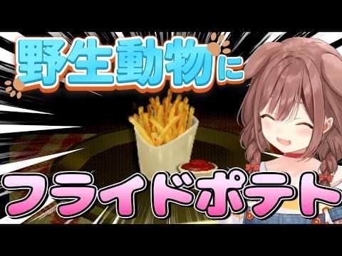 謎生物たちの胃袋を支配するころね