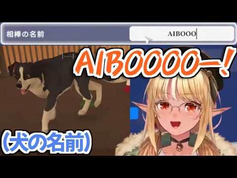 【ホロライブ切り抜き】相変わらず犬のネーミングセンスが独特なフレアちゃんw【不知火フレア】