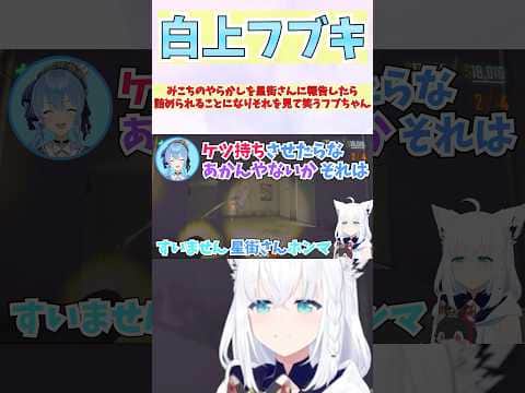 みこちのやらかしを星街さんに報告したら詰められることになりそれを見て笑うフブちゃん #shorts #ホロライブ #切り抜き #vtuber #ホロ切り抜き #白上フブキ #星街すいせい #さくらみこ