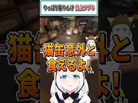 やっぱり猫やんけ 白上フブキ【白上フブキ/ホロライブ切り抜き】 #shorts #vtuber #ホロライブ切り抜き