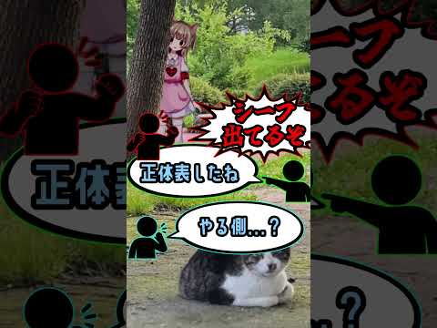 【福岡のAI】監視AIの話を聞いて”する側”みたいなことを言う名取さな【名取さな/切り抜き】 #vtuber #切り抜き