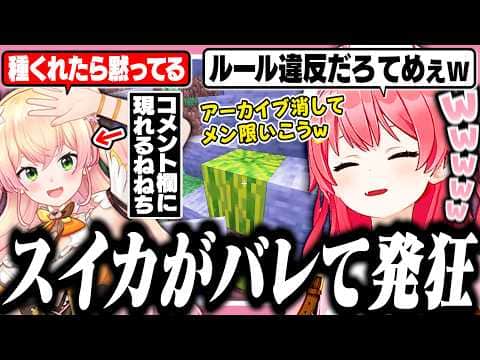 【#ホロ金策サバイバル2】35Pと作戦会議中、ねねちにスイカがバレてプロレスを繰り広げるみこち【ホロライブ/切り抜き/さくらみこ/桃鈴ねね】