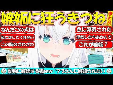 動物に嫉妬するフブさんが可愛い過ぎる!!【#白上フブキ 】【#切り抜き】【#まとめ 】
