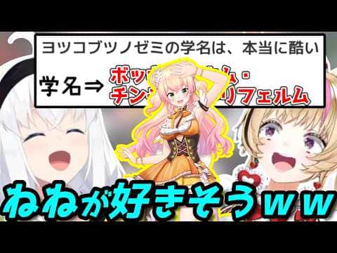 謎の虫の学名は本当にねねちが好きそうだった#狐族密会