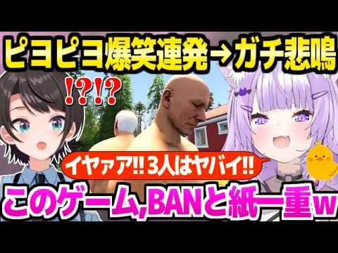【フィンランド】おっさん姿のスバおかが夏休み→おかゆのピヨピヨ爆笑連発のサウナコント,半裸のガチ悲鳴事件など大騒ぎw「チャンネル終わったかと思った！」【ホロライブ 切り抜き/猫又おかゆ/大空スバル】