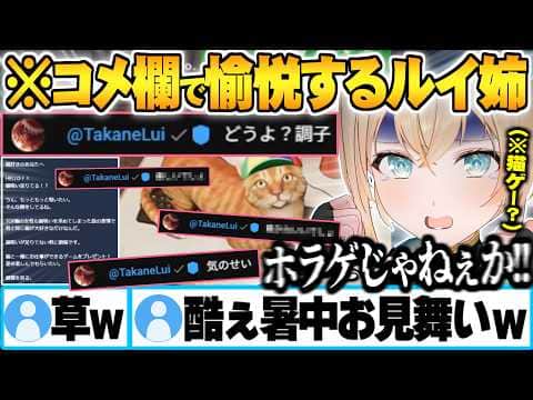 ルイ姉から暑中見舞いで"可愛い猫のゲーム"をプレゼントされまたも騙されるござるとコメ欄に現れ愉悦して帰るルイ姉【風真いろは 鷹嶺ルイ ホロライブ 切り抜き Vtuber】