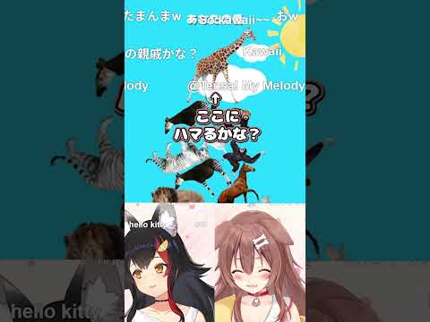 【にじホロ】マイメロの声真似の違い【える/戌神ころね/大神ミオ/ホロライブ/にじさんじ/切り抜き】