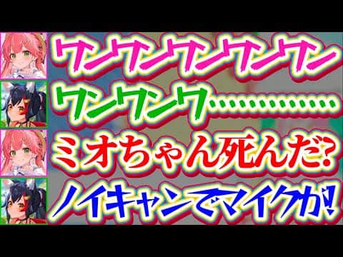 【ホロメン凸待ち】ホロメン最強と謳われるミオしゃと『ワンワン吠えバトル』した結果、ガチすぎる吠えにノイキャンされてしまいマイクがお亡くなりになるミオしゃw【ホロライブ切り抜き/さくらみこ/大神ミオ】