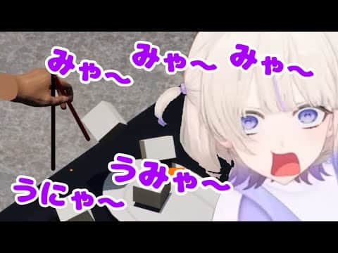 豆腐と戯れる猫(ばんちょー)【ホロライブ切り抜き/轟はじめ】