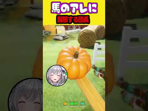 馬のアレに擬態して、ピュアなスバルに問い詰められる団長w【白銀ノエル/大空スバル/猫又おかゆ/ホロライブ/切り抜き】 #切り抜き #vtuber #白銀ノエル