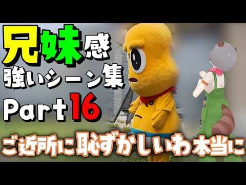 ぽこピーの兄妹感強いシーン集 part16【#ぽこピー切り抜き】